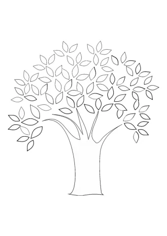 kolorowanka drzewo