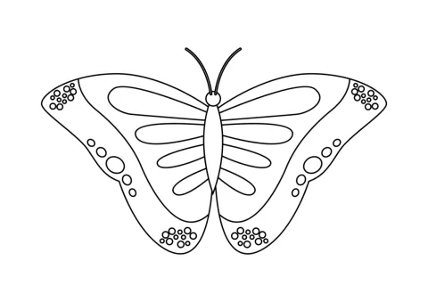 motyl kolorowanka